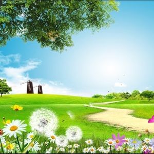 Meet your Posher, Alvin